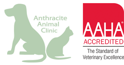 Anthracite Animal Clinic